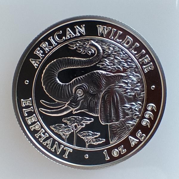 Somalia Elefant 1 Unze Silber 2005 stgl